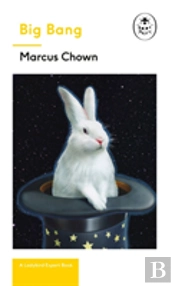 Big Bang: A Ladybird Expert Book