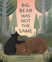 Big Bear Was Not The Same