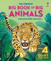 Big Book Of Big Animals