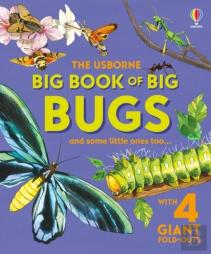 Big Book Of Big Bugs