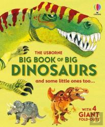 Big Book Of Big Dinosaurs