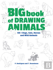 Big Book Of Drawing Animals
