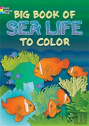 Big Book Of Sea Life To Color