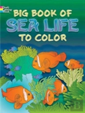 Big Book Of Sea Life To Color