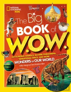 Bertrand.pt - Big Book Of W.O.W.