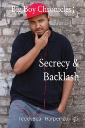 Big Boy Chronicles;         Secrecy & Backlash