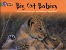 Bertrand.pt - Big Cat Babies