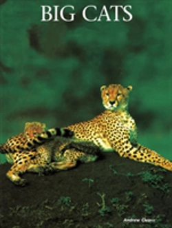 Bertrand.pt - Big Cats