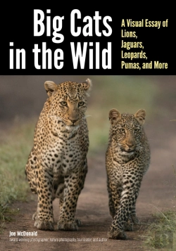 Bertrand.pt - Big Cats In The Wild