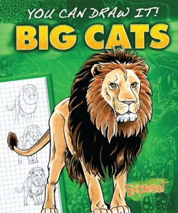 Bertrand.pt - Big Cats