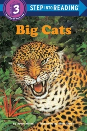Big Cats