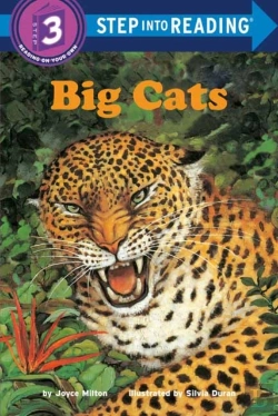 Bertrand.pt - Big Cats