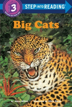Bertrand.pt - Big Cats