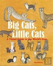 Big Cats, Little Cats