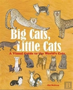 Bertrand.pt - Big Cats, Little Cats