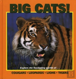Bertrand.pt - Big Cats