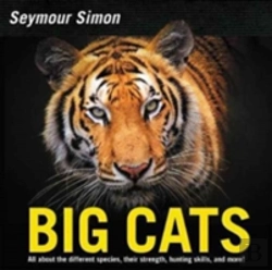 Bertrand.pt - Big Cats