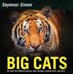 Bertrand.pt - Big Cats