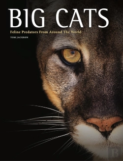 Bertrand.pt - Big Cats