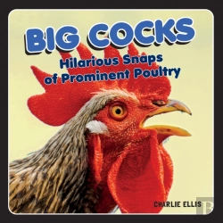 Bertrand.pt - Big Cocks