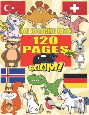 Big Coloring Book