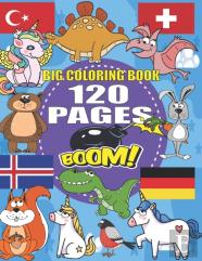Big Coloring Book