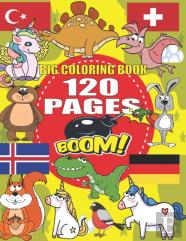 Big Coloring Book