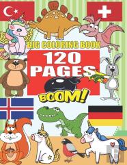 Big Coloring Book