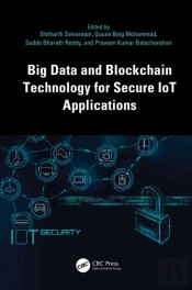 Big Data And Blockchain Technology For Secure Iot Applications