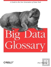 Big Data Glossary