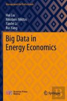 Big Data In Energy Economics