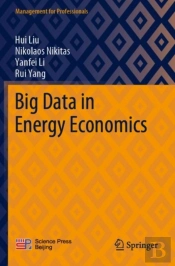 Big Data In Energy Economics