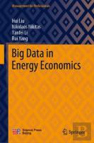 Big Data In Energy Economics