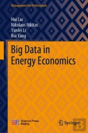 Big Data In Energy Economics