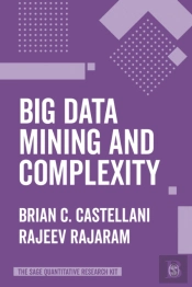 Big Data Mining And Complexity