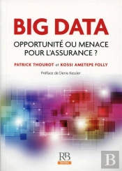 Big Data ; Opportunité Ou Menace Pour L'Assurance ?
