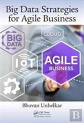 Big Data Strategies For Agile Business
