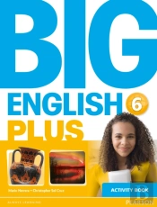 Big English Plus 6 Activity Book