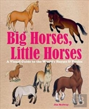 Big Horses Little Horses