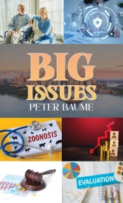 Big Issues