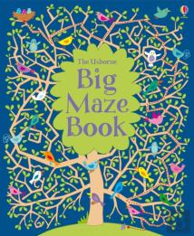 Big Maze Book