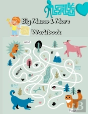 Big Mazes &Amp; More Workbook
