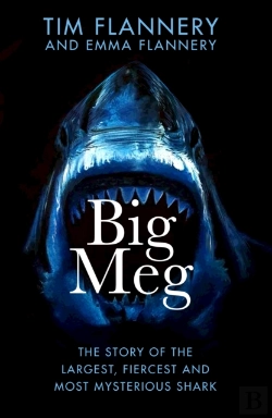 Bertrand.pt - Big Meg