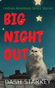 Big Night Out