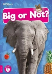 Big Or Not?