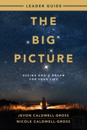 Big Picture Leader Guide, The