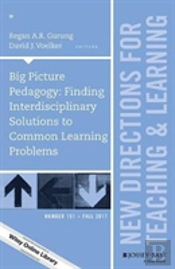 Big Picture Pedagogy: Finding Interdisciplinary Solutions To Common Learning Problems