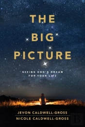 Big Picture, The
