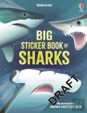 Big Sticker Book Of Sharks