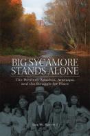 Big Sycamore Stands Alone